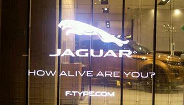 Gradually developed transparent led screen.